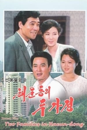 Poster 해운동의 두 가정 1996