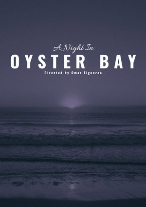 A Night in Oyster Bay 3