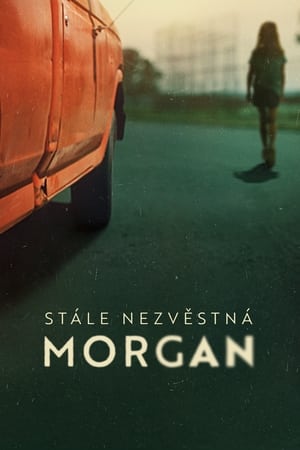 Image Stále nezvěstná Morgan