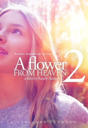 Poster A Flower from Heaven 2: A Perilous Journey 2017