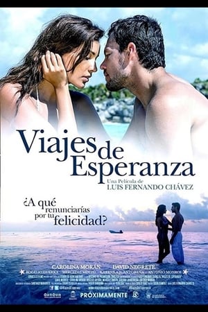 Poster Viajes de Esperanza 2014