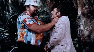 Cane e gatto (1983)