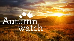 poster Autumnwatch