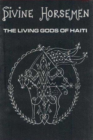 Poster 神圣骑士：活着的海地天神 1993
