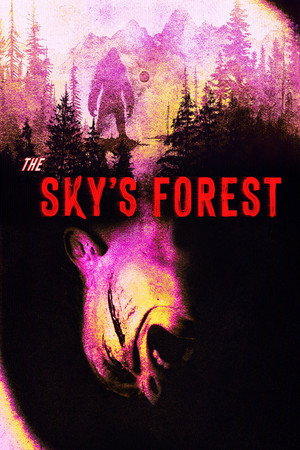 The Sky's Forest 5