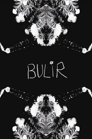 BULIR