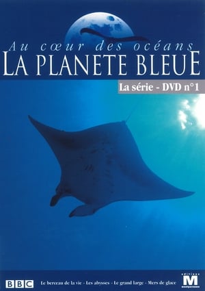 Poster Au cœur des océans - La Planète bleue Saison 1 2001