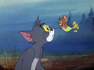 The Cat and the Mermouse