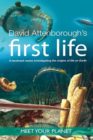 First Life: Staffel 1