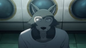 Beastars – S02E02 – The Grey Police Hound Runs WEBDL-1080p