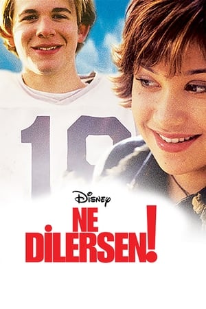 Poster Ne Dilersen! 2003