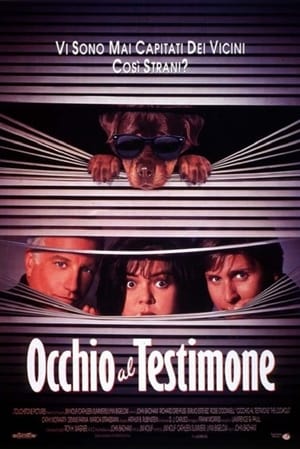 Occhio al testimone (1993)