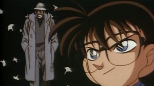 Detective Conan: 1×80