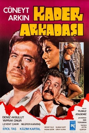 Kader Arkadaşı