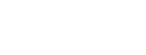 Capturing the Friedmans — Logos 2