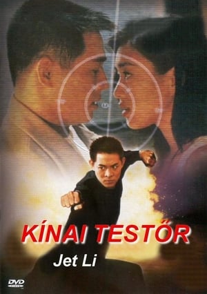 Poster A kínai testőr 1994