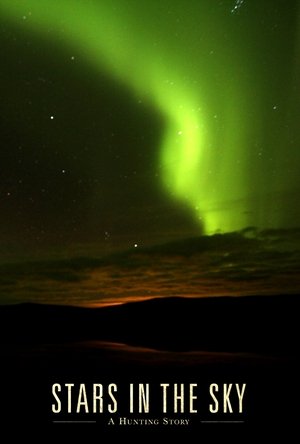 Image Stars in the Sky: A Hunting Story