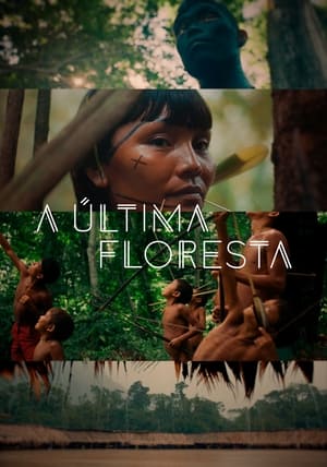 A Última Floresta Torrent (2021) Nacional WEB-DL 1080p – Download