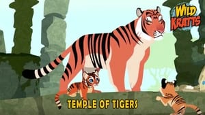 Wild Kratts Temple Of Tigers