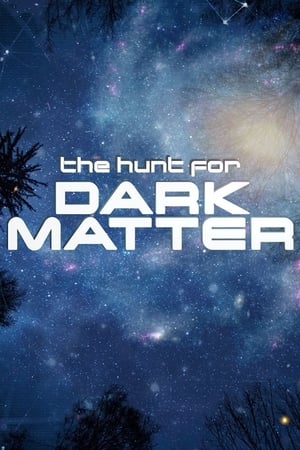 Poster The Hunt for Dark Matter (2017)