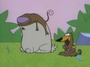 2 Stupid Dogs Stunt Dogs