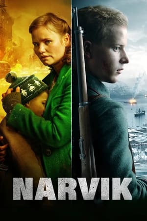 Poster Kampen om Narvik 2022