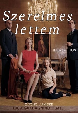 Poster Szerelmes lettem 2010