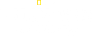Billy The Kid: Nova Evidência — Logos 4