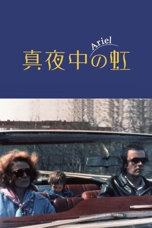 真夜中の虹 (1988)