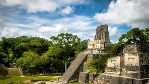 Mayas, la tête dans les étoiles