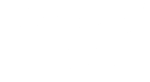 Smoke — Logos 9