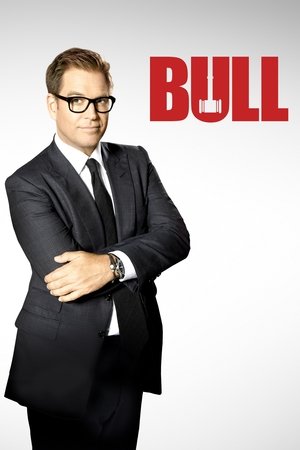 Baixar Bull 4ª Temporada (2019) Torrent Dublado Baixar Bull 4ª Temporada (2019) Dublado via Torrent