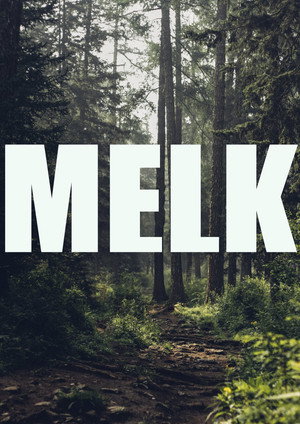 Milk 13