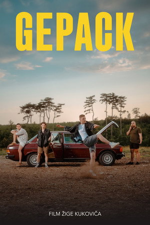 Gepack 7