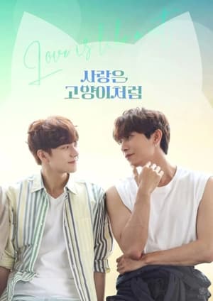 Love Is Like A Cat - Season 1 Episode 9