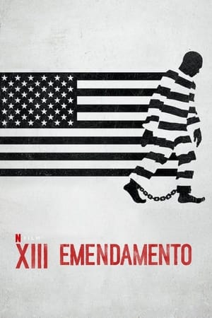 Poster di XIII emendamento