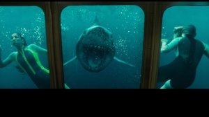 47 meters down : uncaged