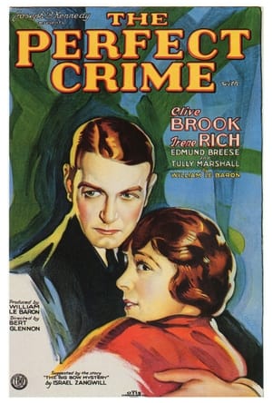 Poster The Perfect Crime 1928
