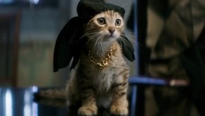 Keanu: Cadê Meu Gato?!