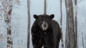 The Different Side Of Brooklyn Season 2 : Episode 2 