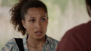 saison 5 épisode 191