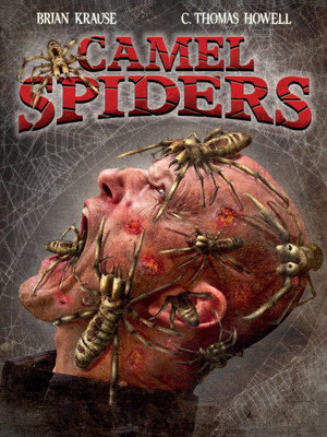 Camel Spiders 12