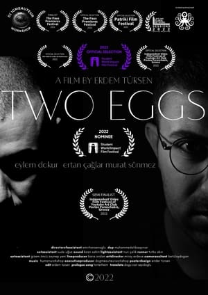 Image Two Eggs
