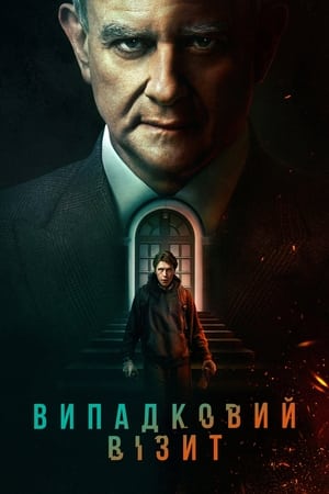 Poster Випадковий візит 2022