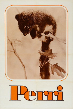 Perri 15