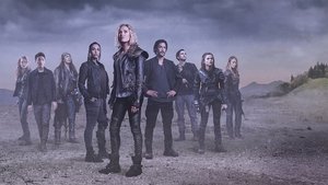 poster The 100