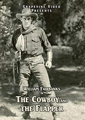 Poster The Cowboy and the Flapper 1924