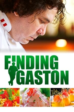 Poster Finding Gastón 2014
