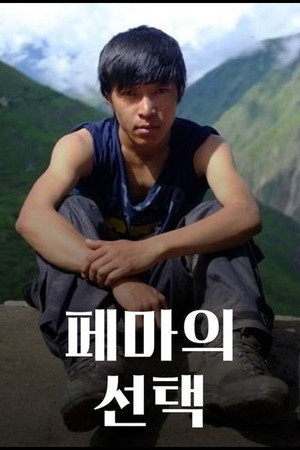 페마의 선택