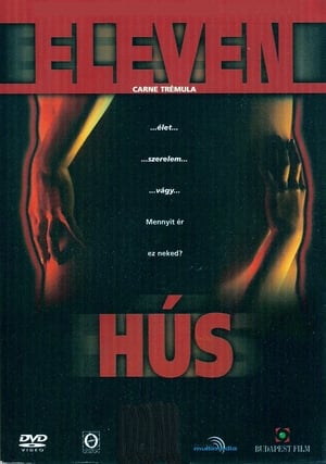 Eleven hús (1997)